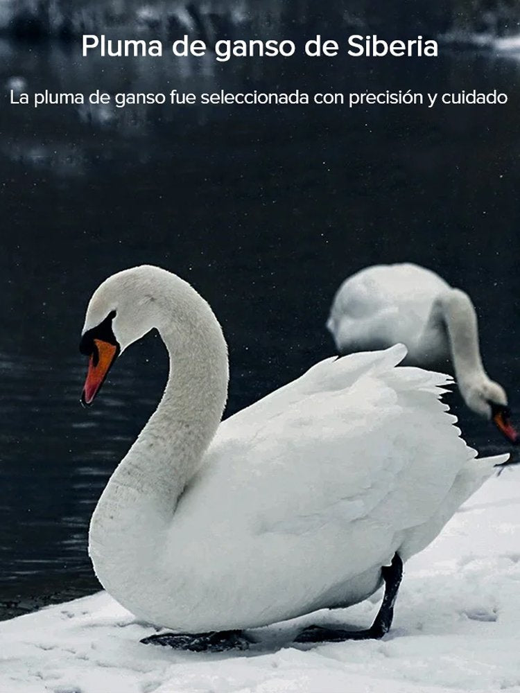 💖【Kostenloser Versand】Ultra-Bequemes Ergonomisches Nackenstützkissen💖