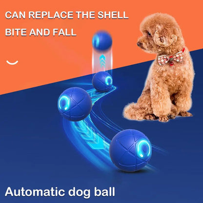 🔥 -50% Heute 🐶🎾 Intelligenter Interaktiver Hüpfball für Haustiere