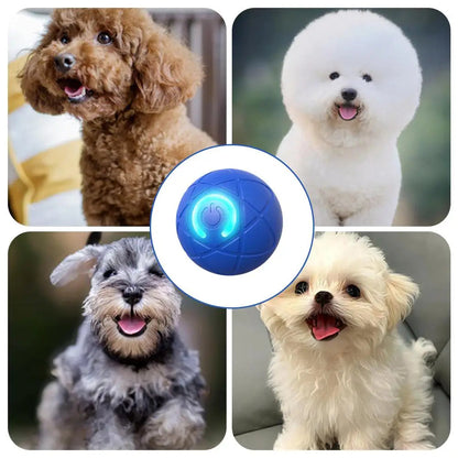 🔥 -50% Heute 🐶🎾 Intelligenter Interaktiver Hüpfball für Haustiere