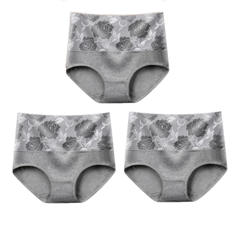 💥Kaufen Sie 1 und erhalten Sie 1 gratis💥Hochtaillierter Bauchansatz Leckagekontrolle Panty-Slip