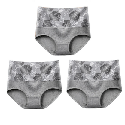 💥Kaufen Sie 1 und erhalten Sie 1 gratis💥Hochtaillierter Bauchansatz Leckagekontrolle Panty-Slip