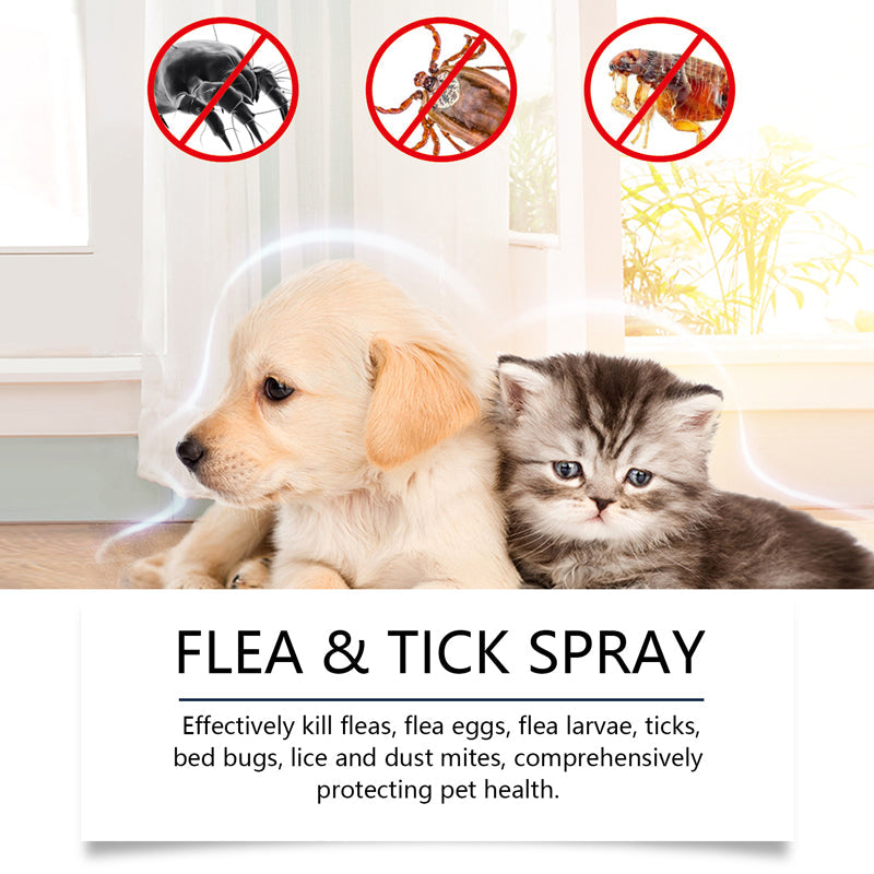 Natürliches Floh- und Zeckenspray für Hunde und Katzen 🐾 Schützen Sie Ihr geliebtes Haustier vor Schädlingen 🐾