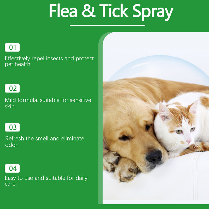 Natürliches Floh- und Zeckenspray für Hunde und Katzen 🐾 Schützen Sie Ihr geliebtes Haustier vor Schädlingen 🐾