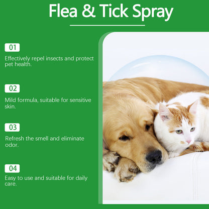 Natürliches Floh- und Zeckenspray für Hunde und Katzen 🐾 Schützen Sie Ihr geliebtes Haustier vor Schädlingen 🐾