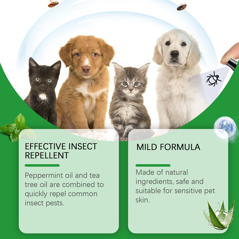 Natürliches Floh- und Zeckenspray für Hunde und Katzen 🐾 Schützen Sie Ihr geliebtes Haustier vor Schädlingen 🐾