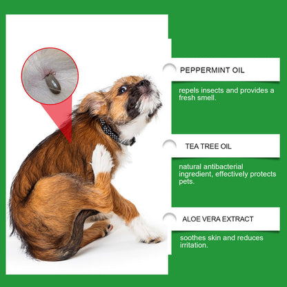 Natürliches Floh- und Zeckenspray für Hunde und Katzen 🐾 Schützen Sie Ihr geliebtes Haustier vor Schädlingen 🐾