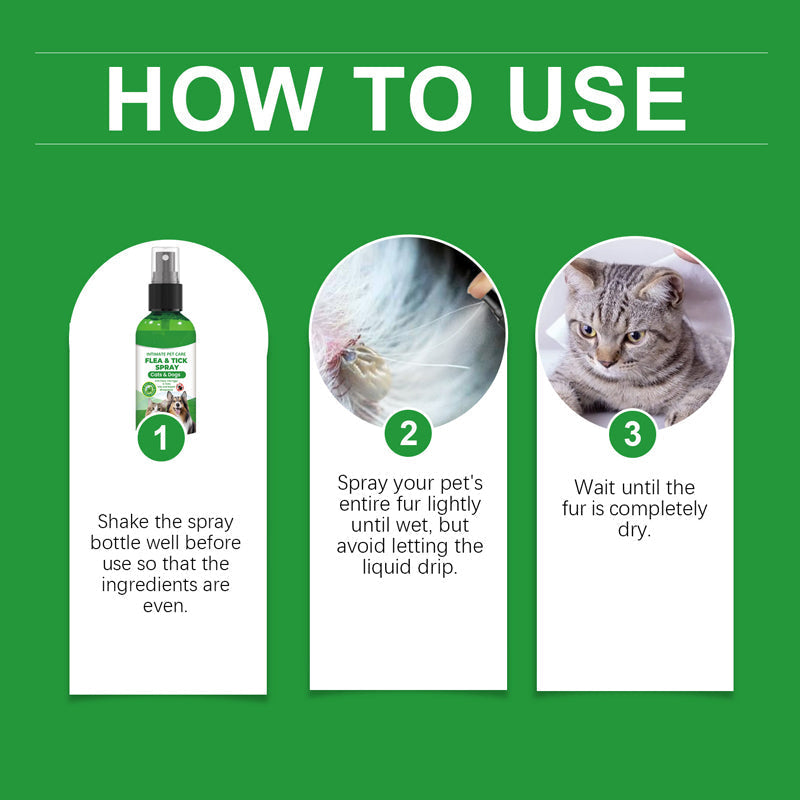 Natürliches Floh- und Zeckenspray für Hunde und Katzen 🐾 Schützen Sie Ihr geliebtes Haustier vor Schädlingen 🐾