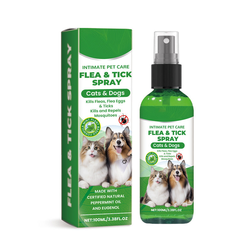 Natürliches Floh- und Zeckenspray für Hunde und Katzen 🐾 Schützen Sie Ihr geliebtes Haustier vor Schädlingen 🐾