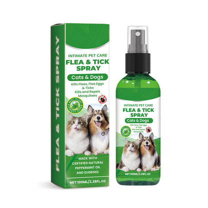 Natürliches Floh- und Zeckenspray für Hunde und Katzen 🐾 Schützen Sie Ihr geliebtes Haustier vor Schädlingen 🐾