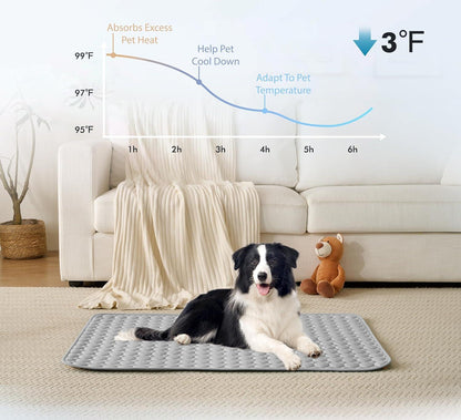 ⏳🔥NUR FÜR BEGRENZTE ZEIT: 50 % RABATT! 🐶 Kühlmatte für Hunde – 4-mal effektivere Kühlung für heiße Sommertage ❄️✨