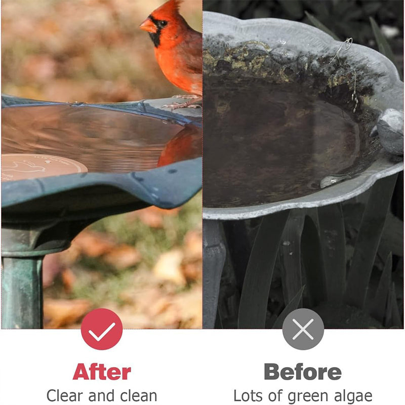 🦩 Natürlicher Algenhemmer für Vogeltränken & Springbrunnen – sauberes Wasser ohne Chemie – sicher für Vögel, Haustiere & Pflanzen