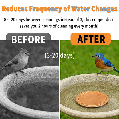 🦩 Natürlicher Algenhemmer für Vogeltränken & Springbrunnen – sauberes Wasser ohne Chemie – sicher für Vögel, Haustiere & Pflanzen