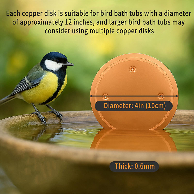 🦩 Natürlicher Algenhemmer für Vogeltränken & Springbrunnen – sauberes Wasser ohne Chemie – sicher für Vögel, Haustiere & Pflanzen