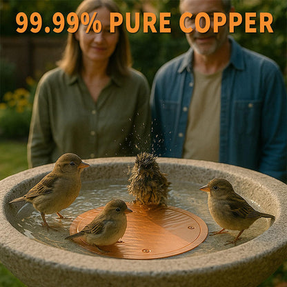 🦩 Natürlicher Algenhemmer für Vogeltränken & Springbrunnen – sauberes Wasser ohne Chemie – sicher für Vögel, Haustiere & Pflanzen