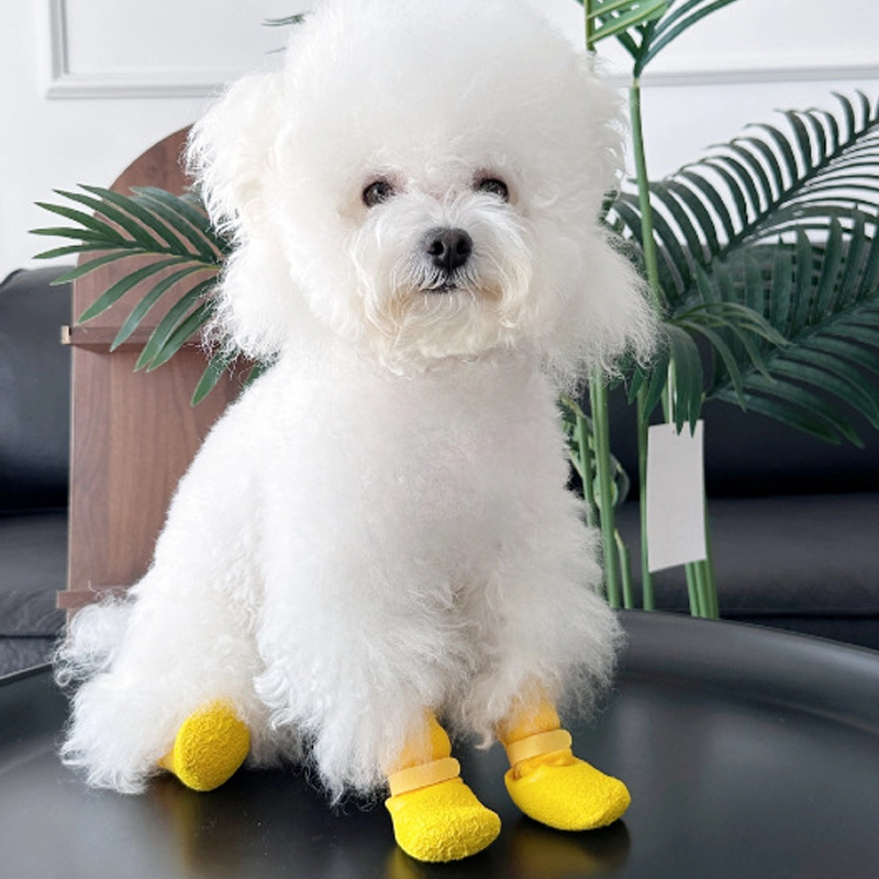 🐶 50% RABATT! 👟Hundeschuhe mit rutschfester Sohle & wasserdichtem Material – sicherer Halt auf glatten Böden, schützt vor Verletzungen – ideal für jeden Hund