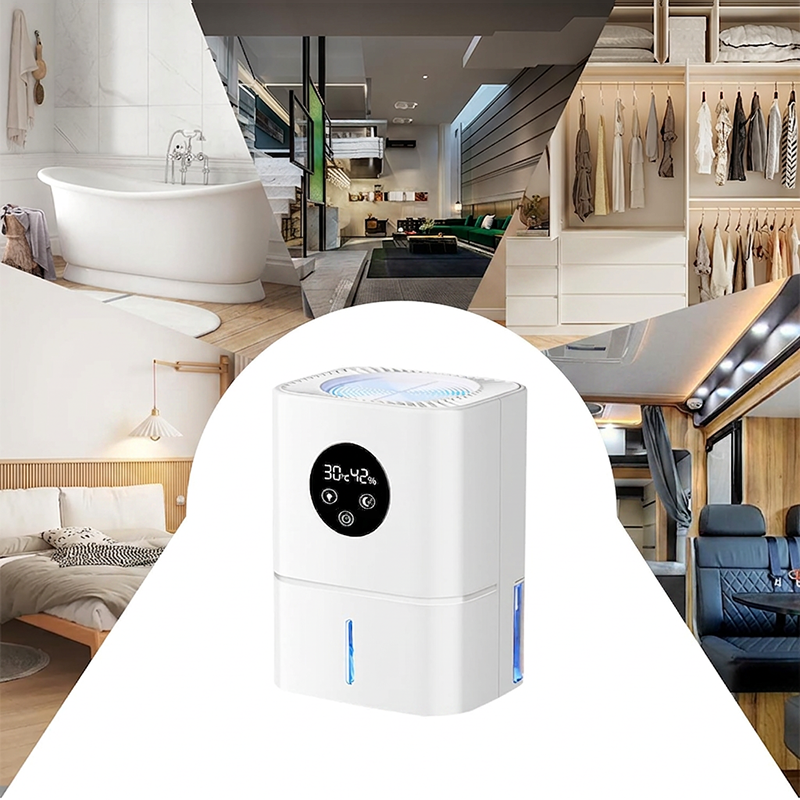 💨 Feuchtigkeit weg, Kühle pur – der 2-in-1 Luftentfeuchter und Kühler sorgt für ein gesundes Raumklima. Schimmel keine Chance, Hitze keine Macht – hol dir deinen Klima-Helfer! ❄️🏠